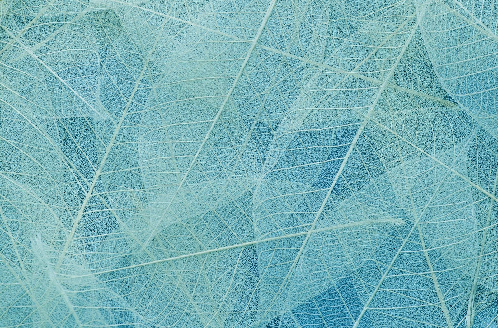 Close-up of a blue mesh/net made of fine white fibers crisscrossing in a dense web pattern.