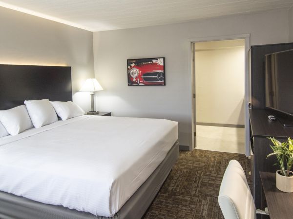 A clean hotel room with a large bed, white linens, bedside lamps, a dresser with a flat screen, a desk and chair, a potted plant, and a doorway to a bathroom.