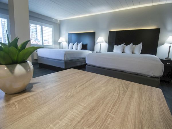 A modern hotel room with two large beds, nightstands, lamps, and a wooden table in the foreground with a small plant.