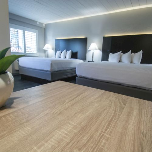 A hotel brings two large, neatly made beds with white linens, soft lighting, and a wooden table with a small plant in the foreground.