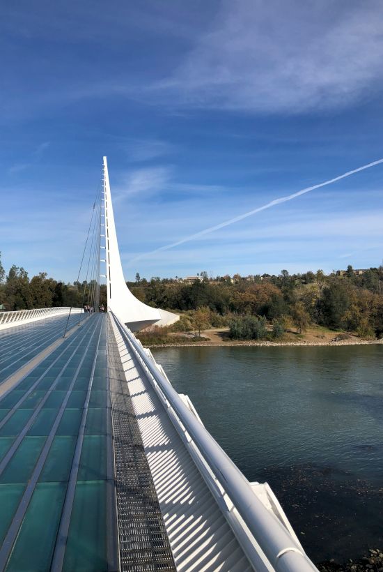View from a cable-stayed bridge walkway over a river, with cables, trees, and a blue sky full of wispy clouds.